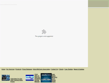 Tablet Screenshot of mcguireassociatesinc.com